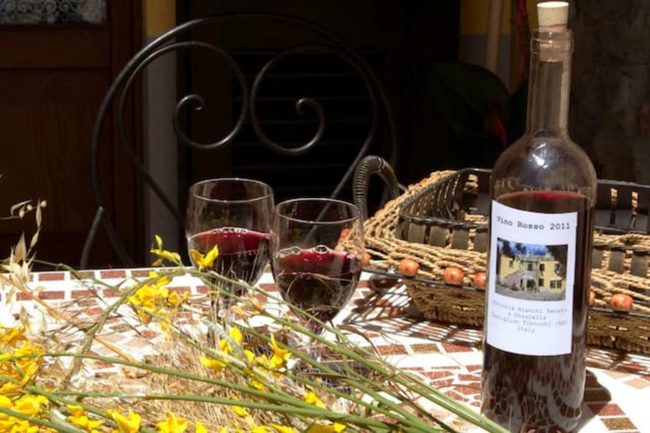 Cappannelle Country House Tuscany Castiglion Fibocchi Exterior foto